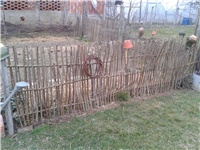 964b481e-2017-03-15 17.15.02.jpg